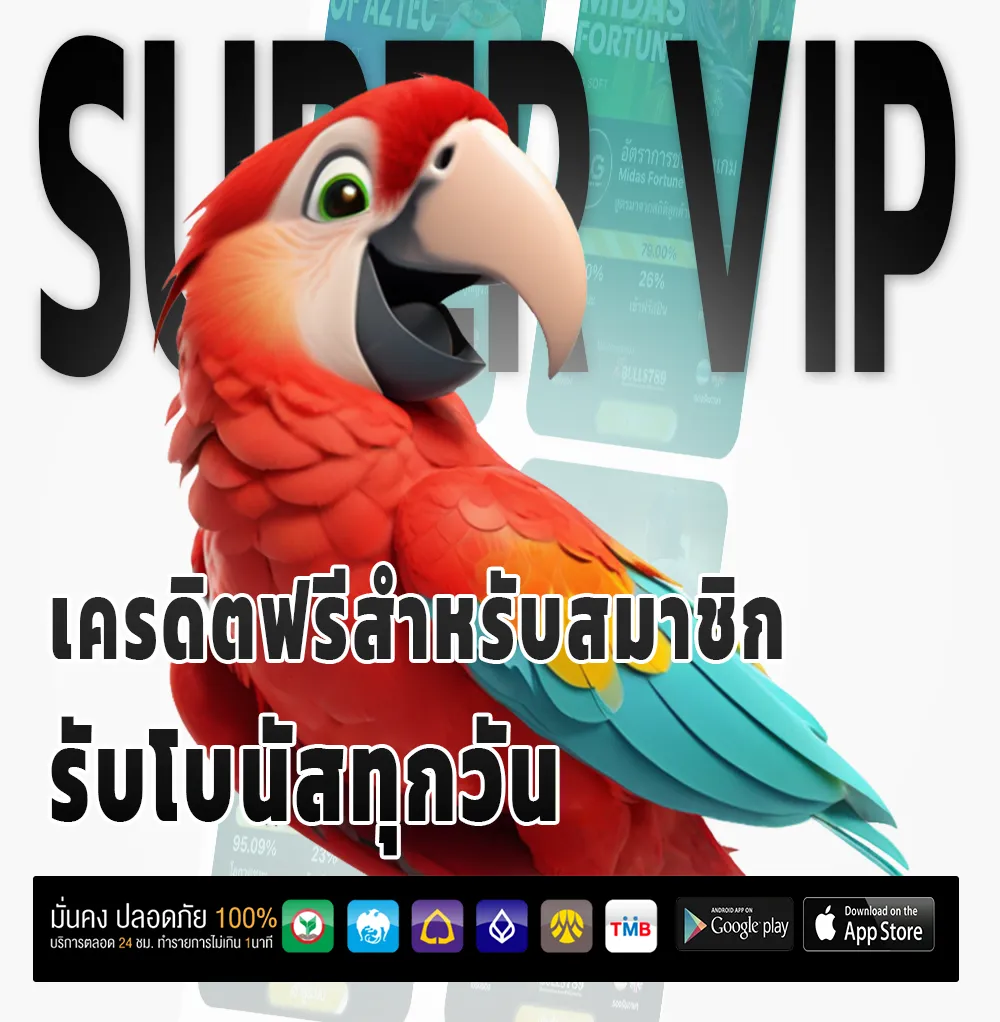 beelink888 ไม่มีล็อกยูส